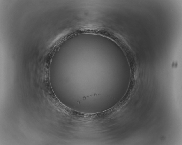 X0000113051350200908271520