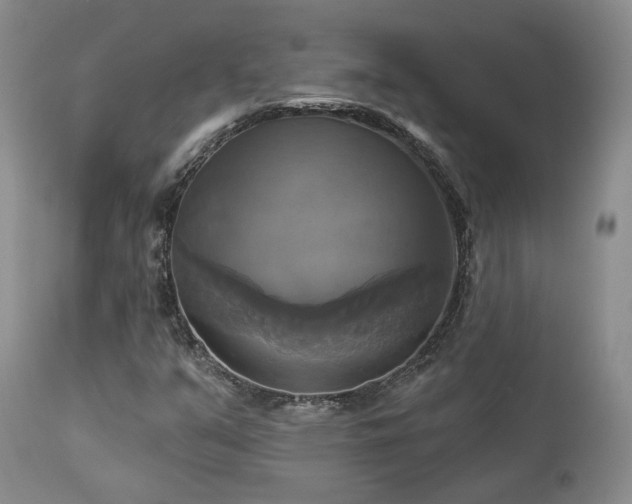 X0000113051351200908271520
