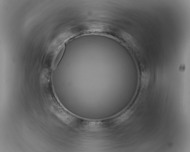X0000113051353200908271520