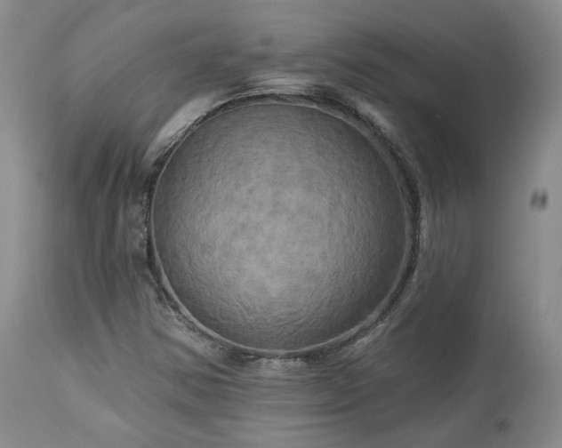 X0000113051354200908271520