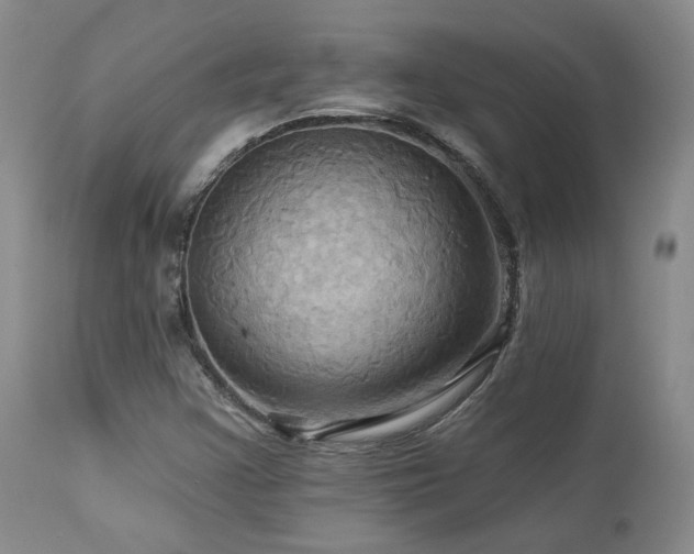 X0000113051355200908271520