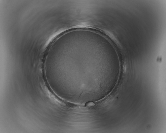 X0000113051356200908271520
