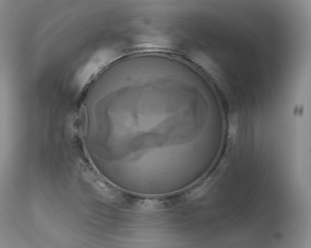 X0000113051357200908271520