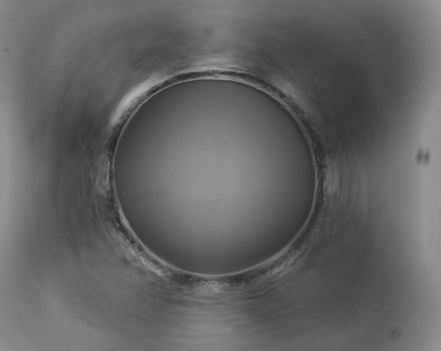 X0000113051358200908271520