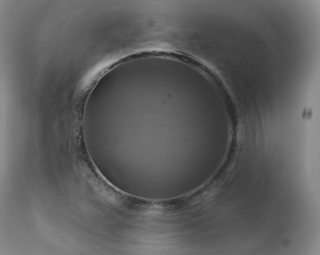 X0000113051359200908271520