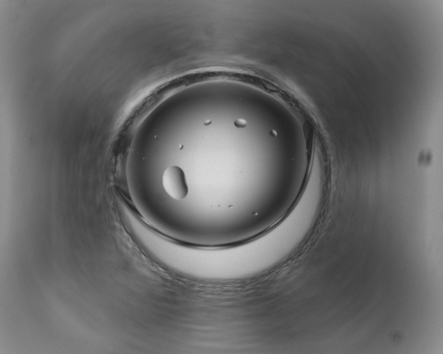 X0000113051360200908271520