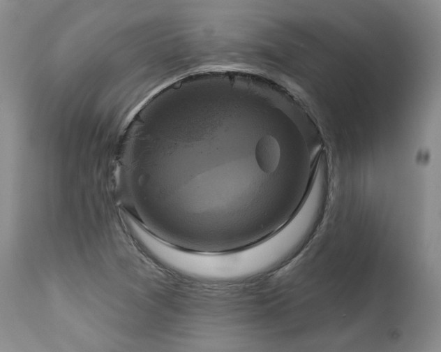 X0000113051361200908271520