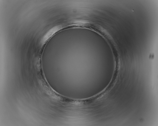 X0000113051362200908271520