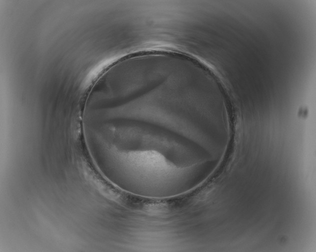 X0000113051363200908271520