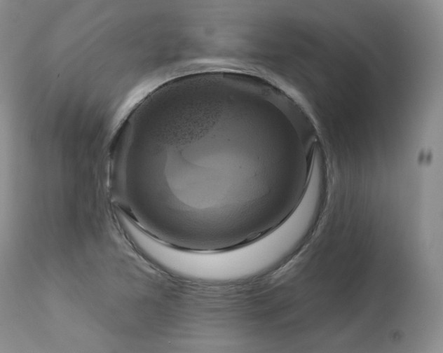 X0000113051365200908271520