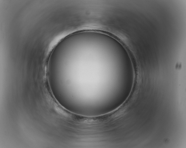X0000113051366200908271520