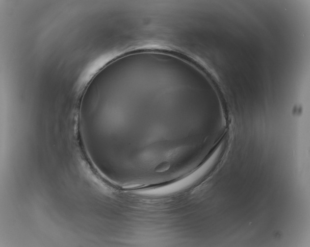 X0000113051367200908271520