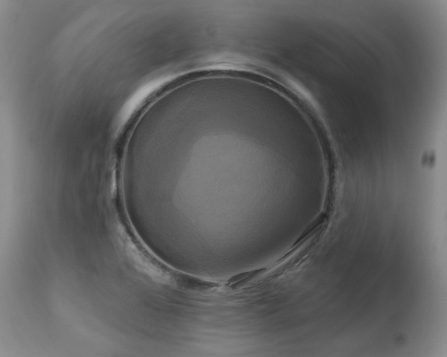 X0000113051368200908271520