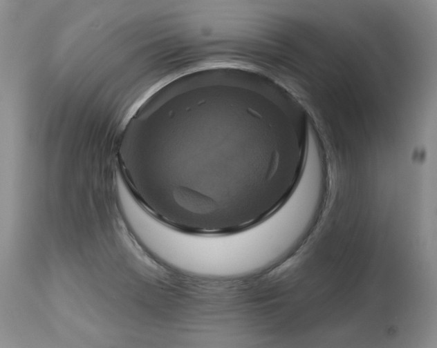 X0000113051369200908271520