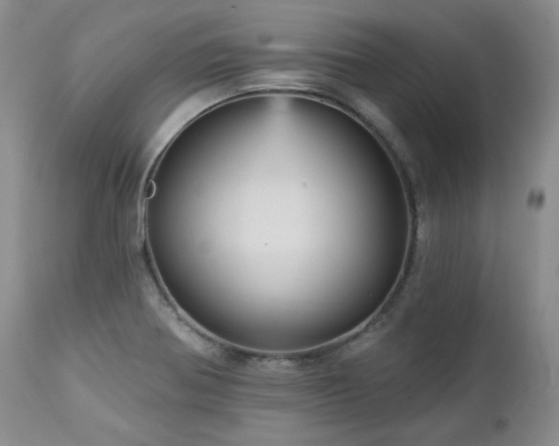 X0000113051370200908271520