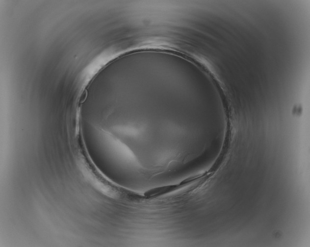 X0000113051371200908271520