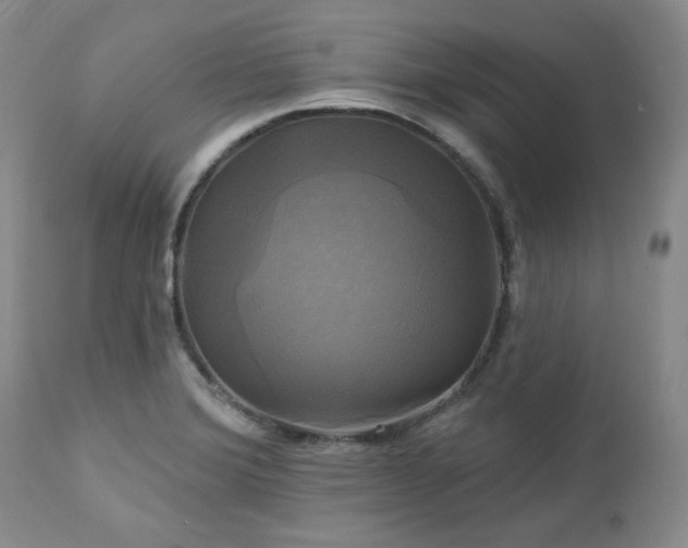 X0000113051372200908271520