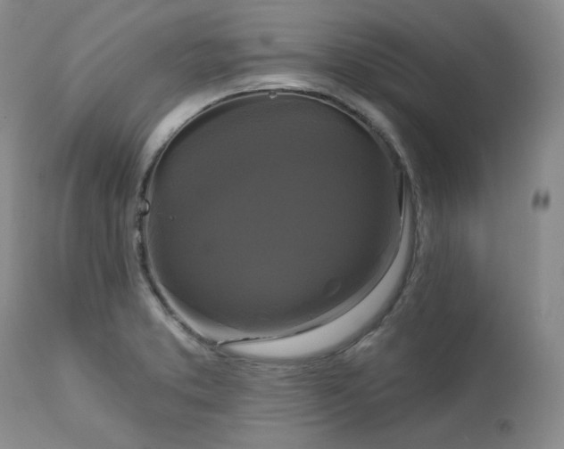 X0000113051373200908271520