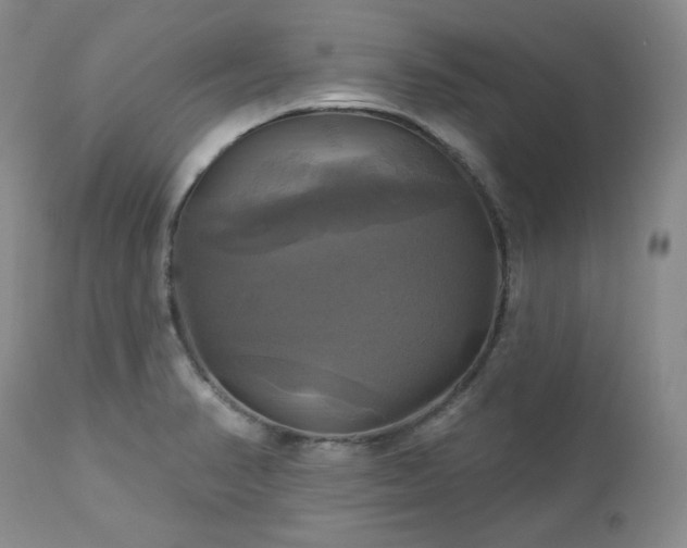 X0000113051374200908271520