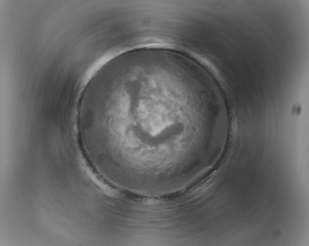 X0000113051375200908271520