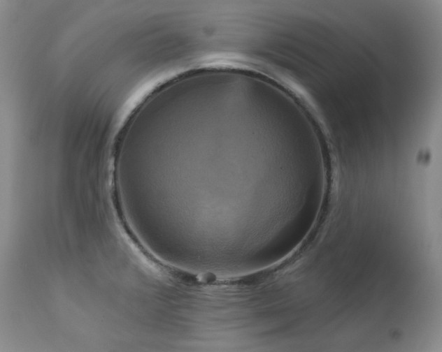 X0000113051376200908271520
