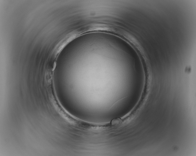 X0000113051377200908271520