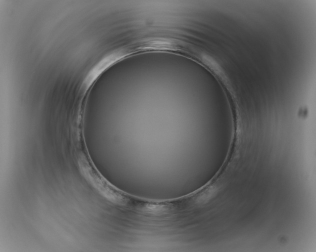 X0000113051378200908271520