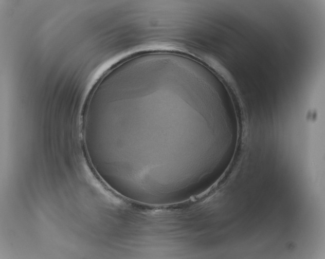 X0000113051380200908271520