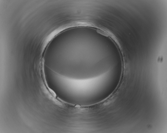 X0000113051381200908271520