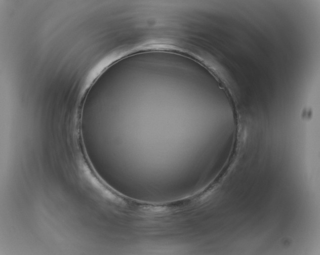 X0000113051382200908271520