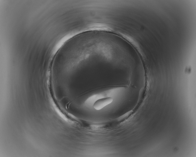 X0000113051383200908271520