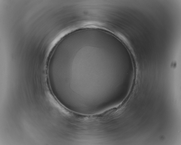 X0000113051384200908271520