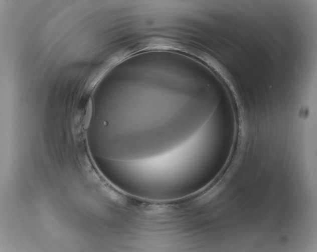 X0000113051385200908271520