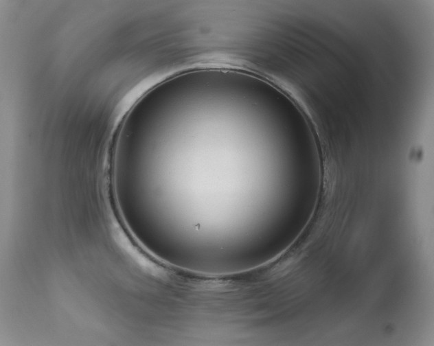 X0000113051387200908271520