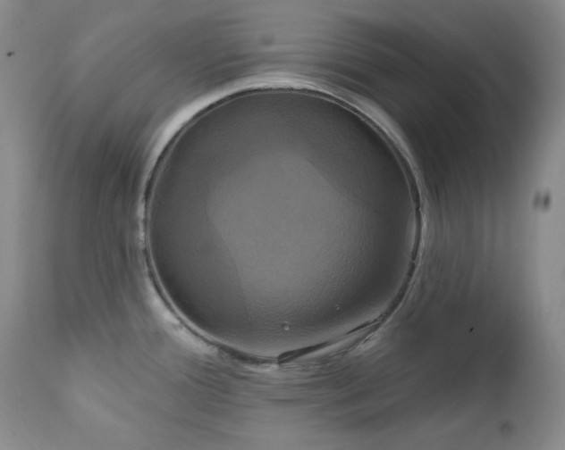 X0000113051388200908271520