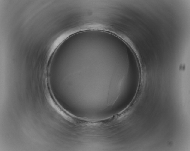 X0000113051389200908271520