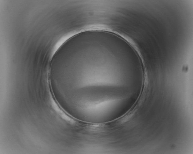 X0000113051390200908271520