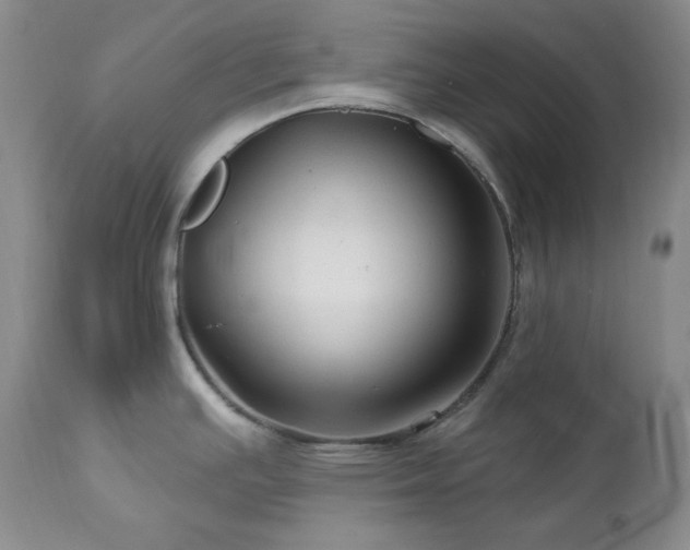 X0000113051391200908271520