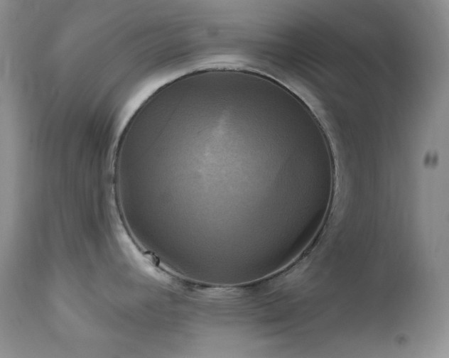 X0000113051392200908271519