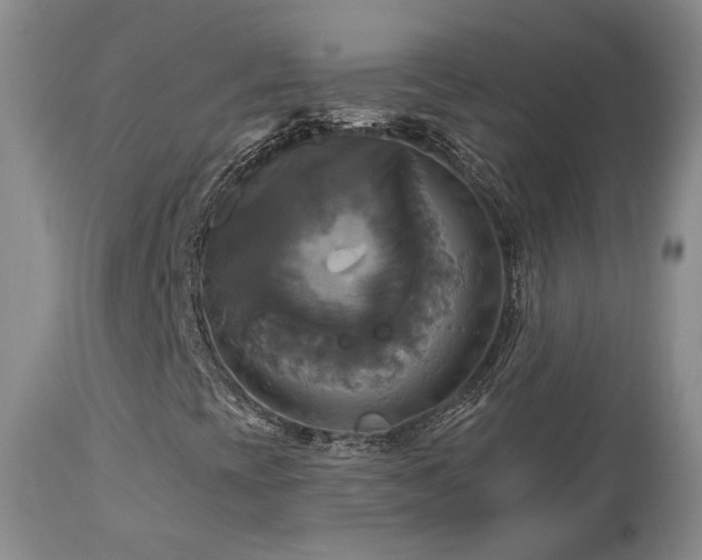 X0000113051393200908271519