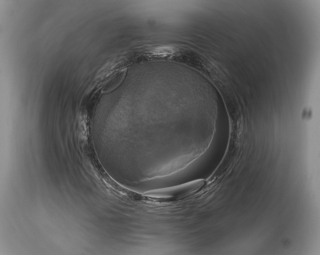 X0000113051394200908271519