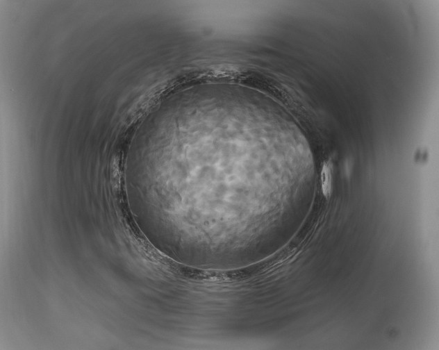X0000113051395200908271519