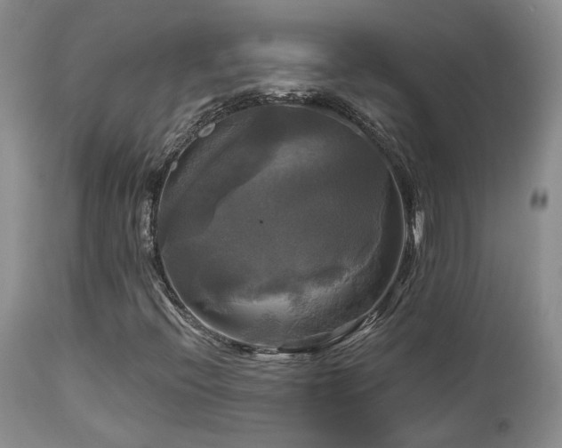 X0000113051396200908271519