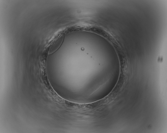 X0000113051397200908271519