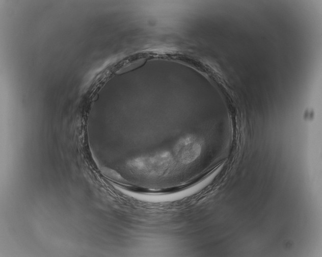 X0000113051398200908271519