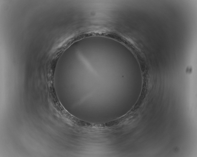 X0000113051399200908271519