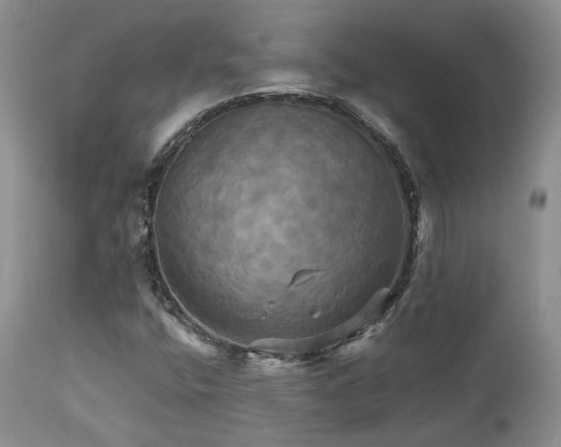 X0000113051400200908271519