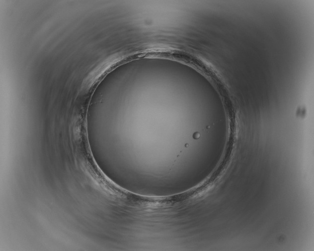 X0000113051401200908271519