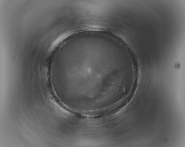 X0000113051402200908271519