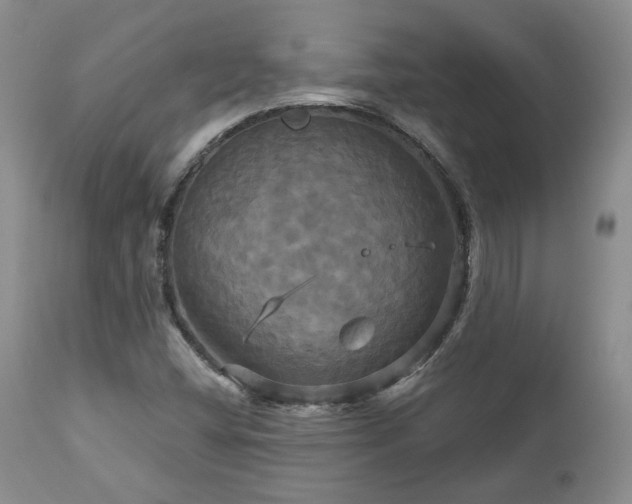 X0000113051404200908271519